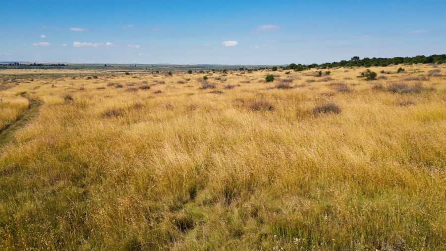 0 Bedroom Property for Sale in Virginia Free State